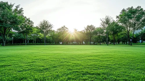잔디밭과 녹색 환경 공원의 풍경이 자연스러운 배경, 배경으로 사용됩니다.